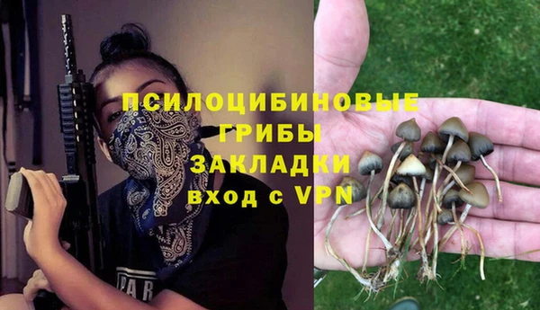 PSILOCYBIN Волоколамск